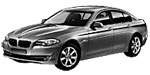 BMW F10 P1232 Fault Code